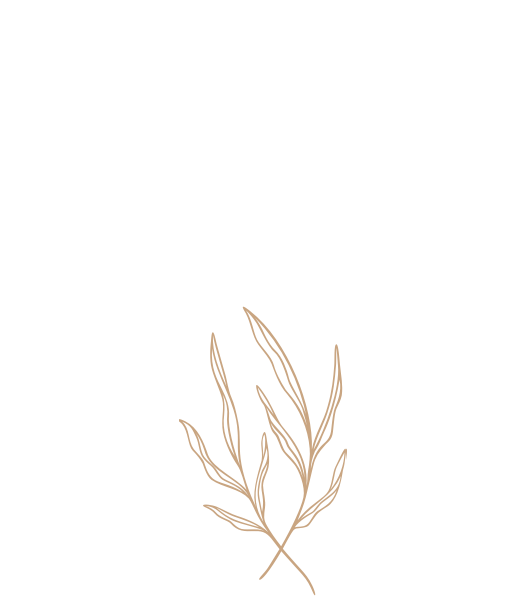 noun leaves 6868398